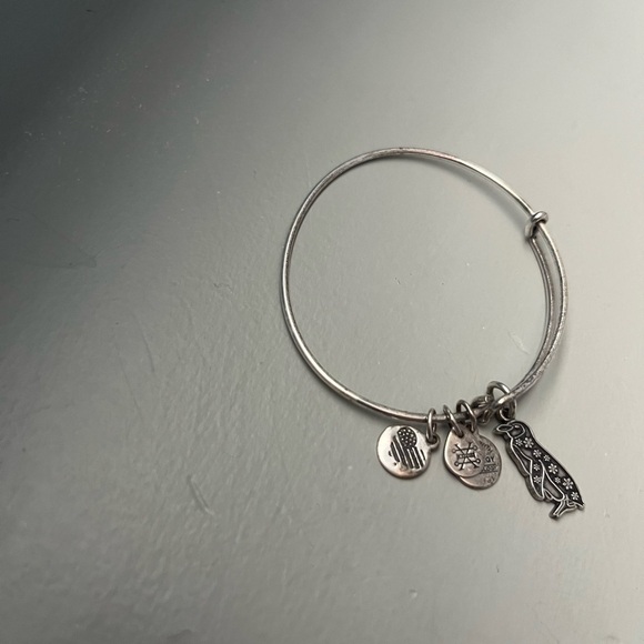 Alex and Ani Penguin Bracelet - Picture 5 of 5